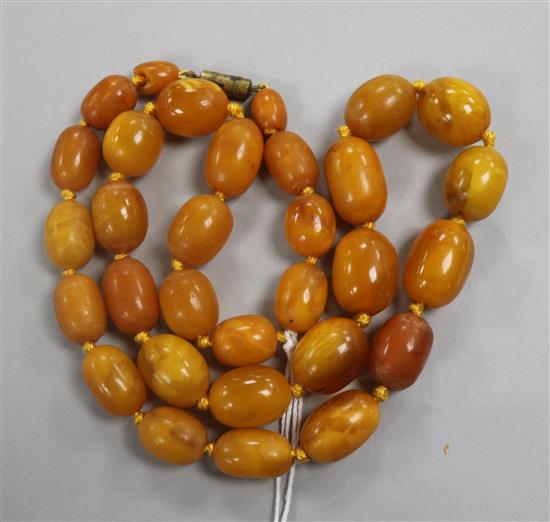 A single strand graduated oval amber bead necklace, gross weight, 46grams, 55cm.